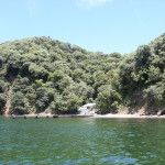 Bird-island Togago
