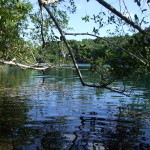 Der Jellyfish Lake auf dem Maratua Atoll