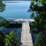 Der Quallensee